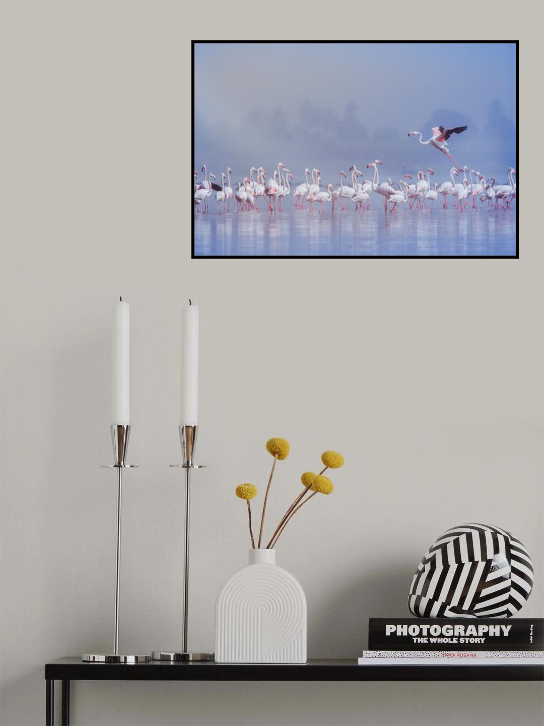Yes...give some space to land... Poster och Canvastavla