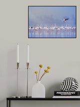Yes...give some space to land... Poster och Canvastavla