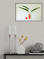Lobster Claw and Apple Poster och Canvastavla