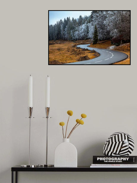 The road and the frozen trees Poster och Canvastavla