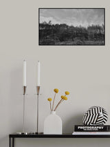 image of a forest after a fire Poster och Canvastavla
