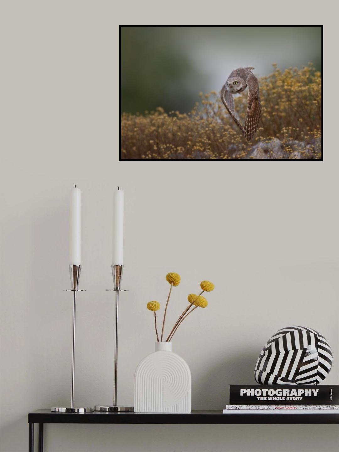 Burrowing Owl Poster och Canvastavla