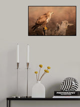common Buzzard Poster och Canvastavla