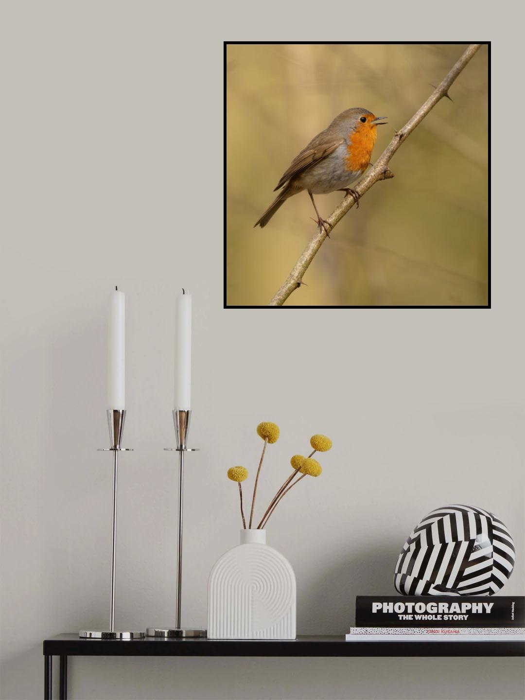 It's spring Poster och Canvastavla