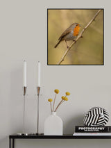 It's spring Poster och Canvastavla