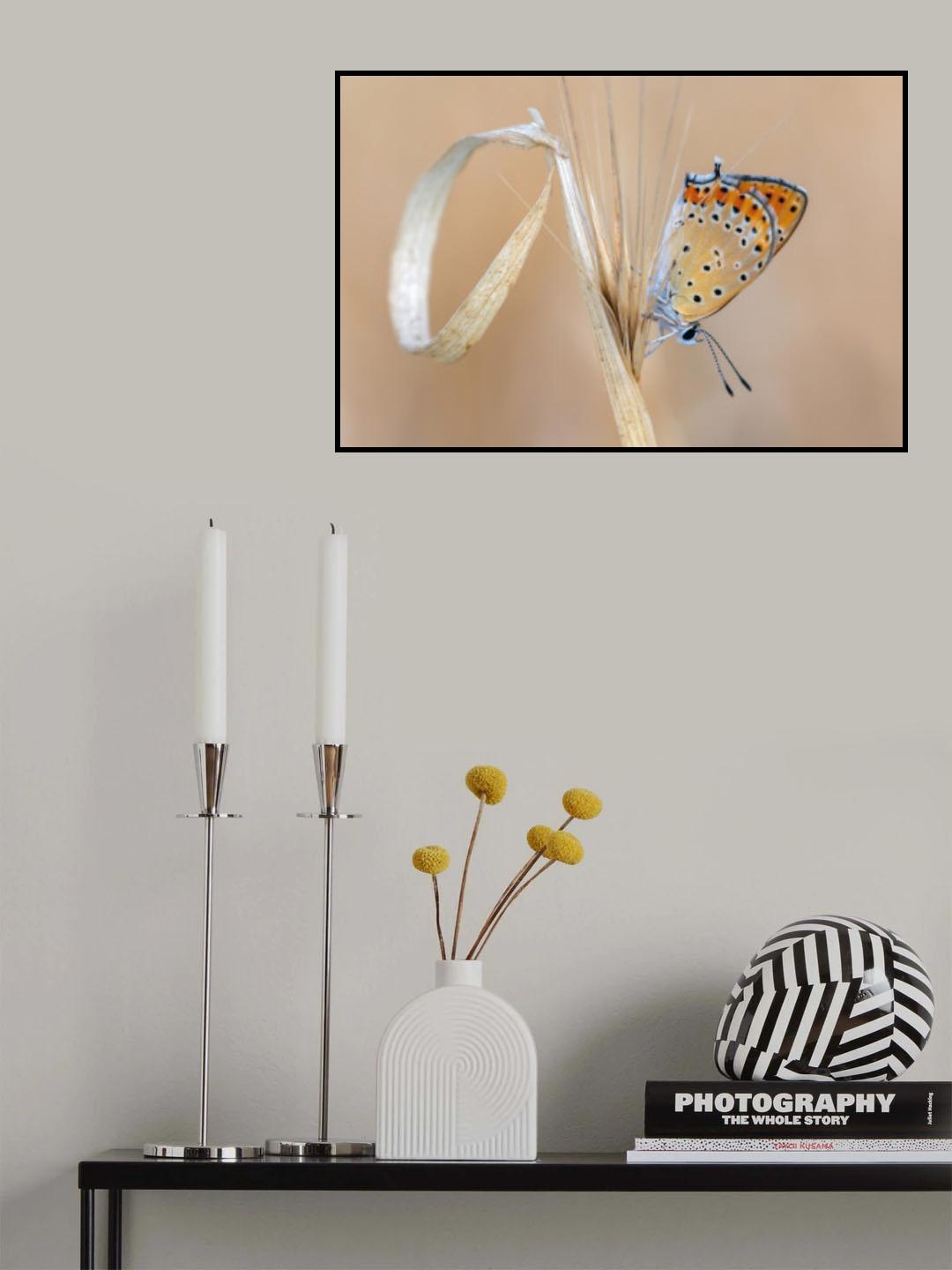 Beauty Poster och Canvastavla