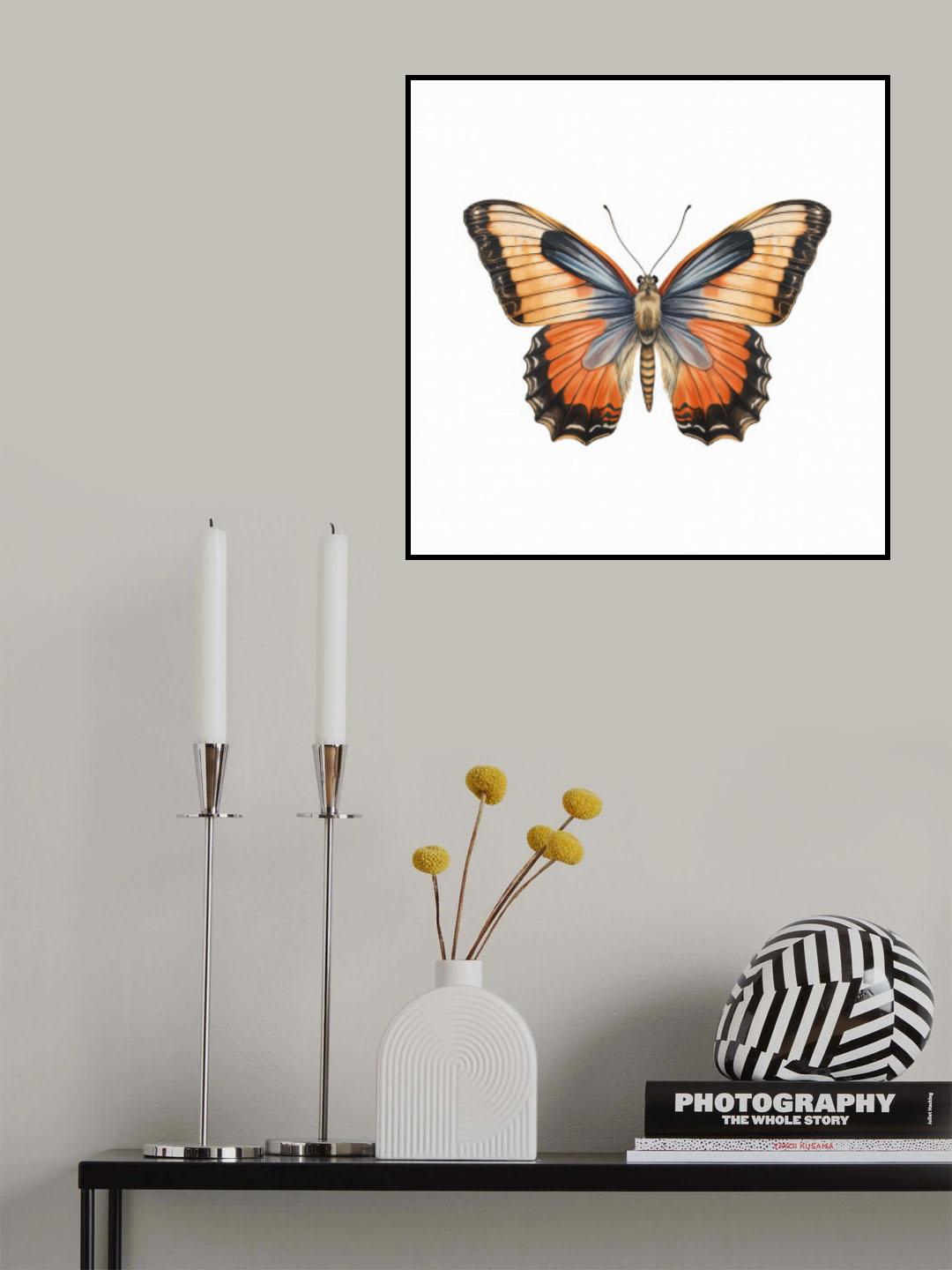 Butterfly 50 Poster och Canvastavla