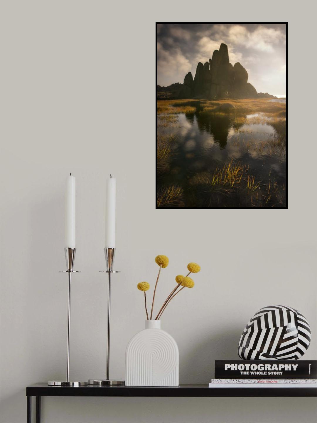 Morning Glory Poster och Canvastavla
