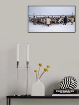 Herd in the corral Poster och Canvastavla