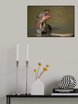 The otter, the catfish and the bee Poster och Canvastavla