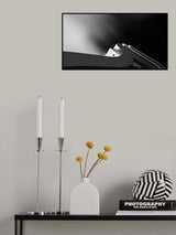 Curves ~ Poster och Canvastavla