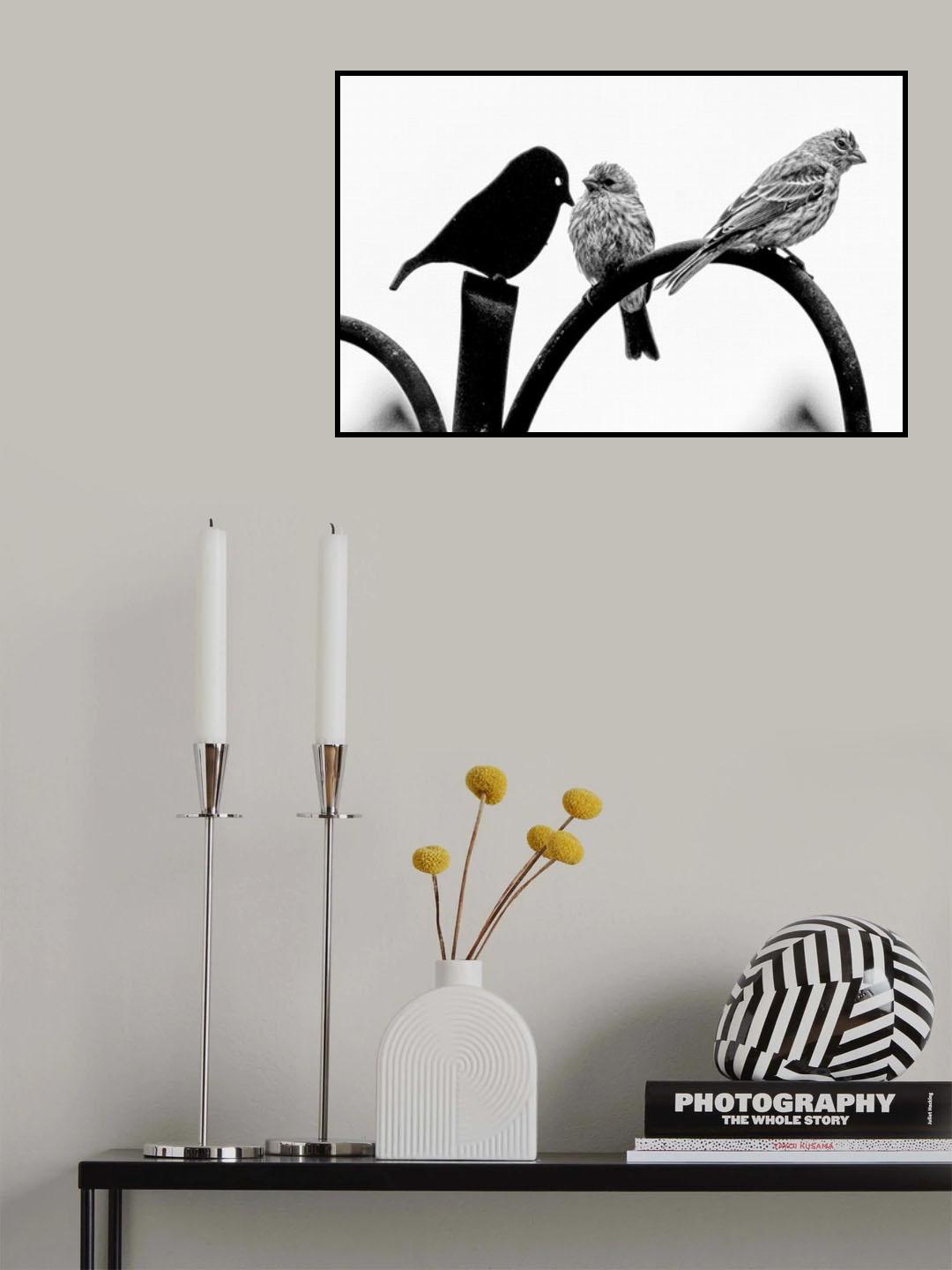 Jealousy Poster och Canvastavla