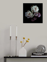 Roses Poster och Canvastavla