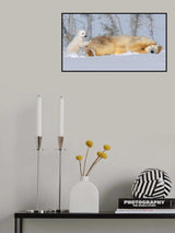 Mom, wake up Poster och Canvastavla