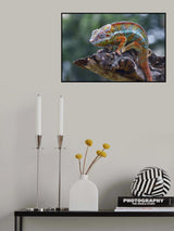 Chameleon panther on a tree Poster och Canvastavla