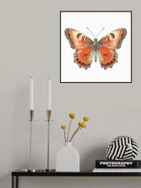 Butterfly 20 Poster och Canvastavla