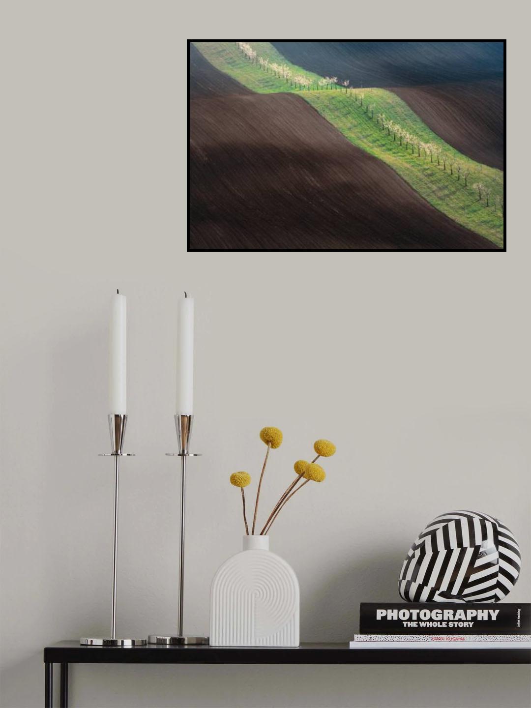 From Left To Right Poster och Canvastavla
