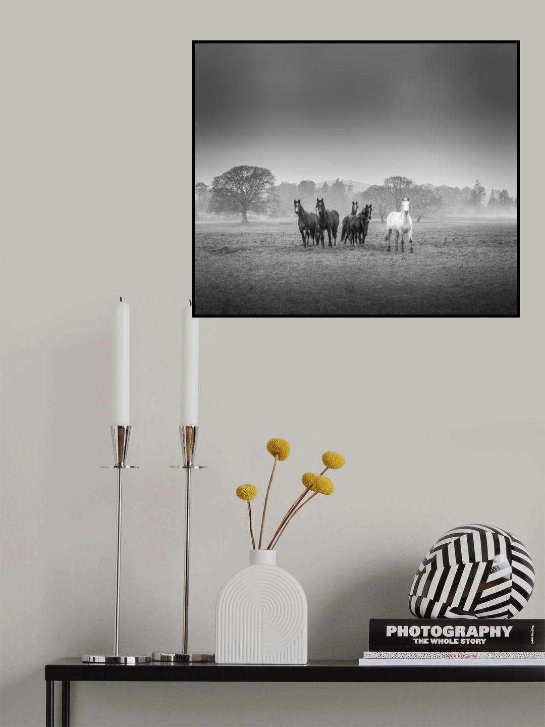 Poster och Canvastavla