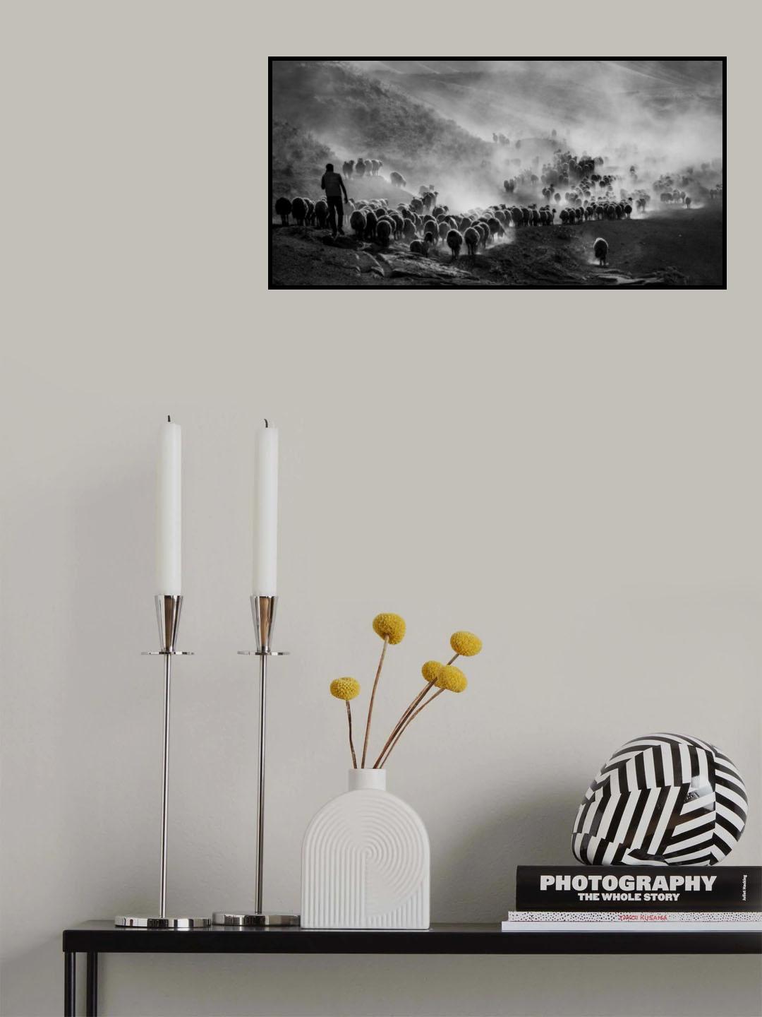 flocks Poster och Canvastavla