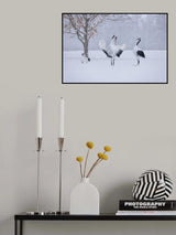 Let's Dance Poster och Canvastavla