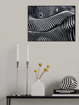 Lost in stripes Poster och Canvastavla