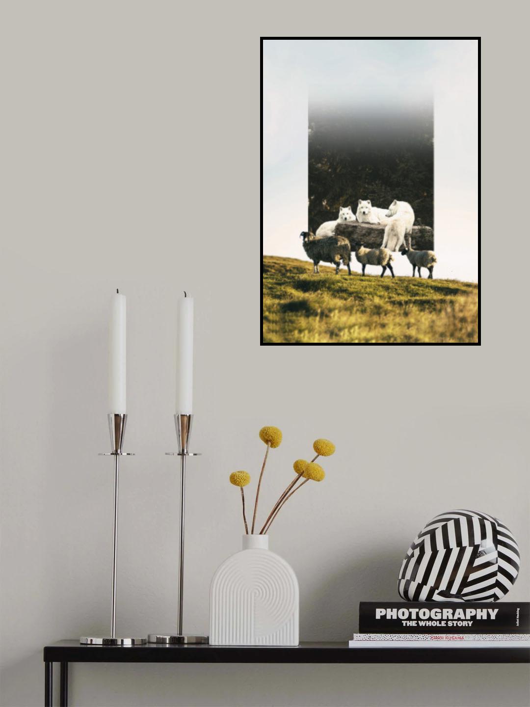 Sheep Wolf Predator Poster och Canvastavla