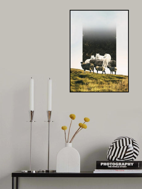 Sheep Wolf Predator Poster och Canvastavla