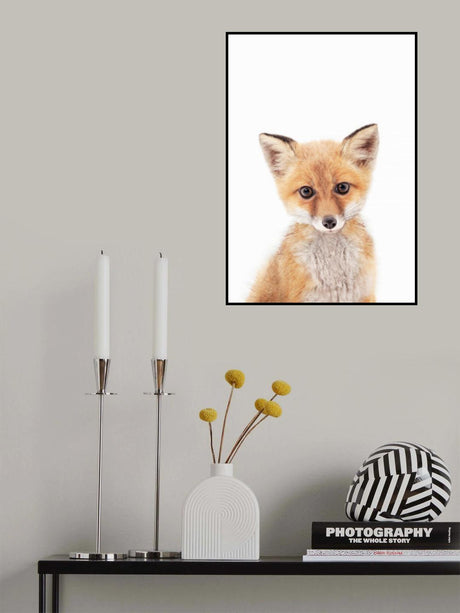 Baby Fox Poster och Canvastavla