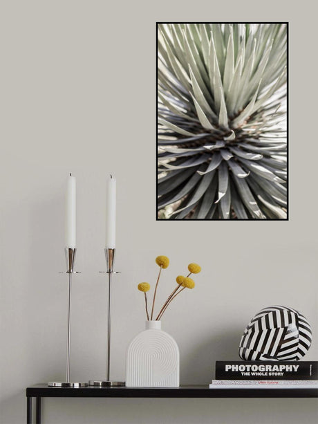 Desert Apple Poster och Canvastavla