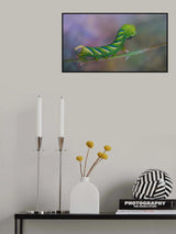 Esfinge de la muerte 2 Poster och Canvastavla