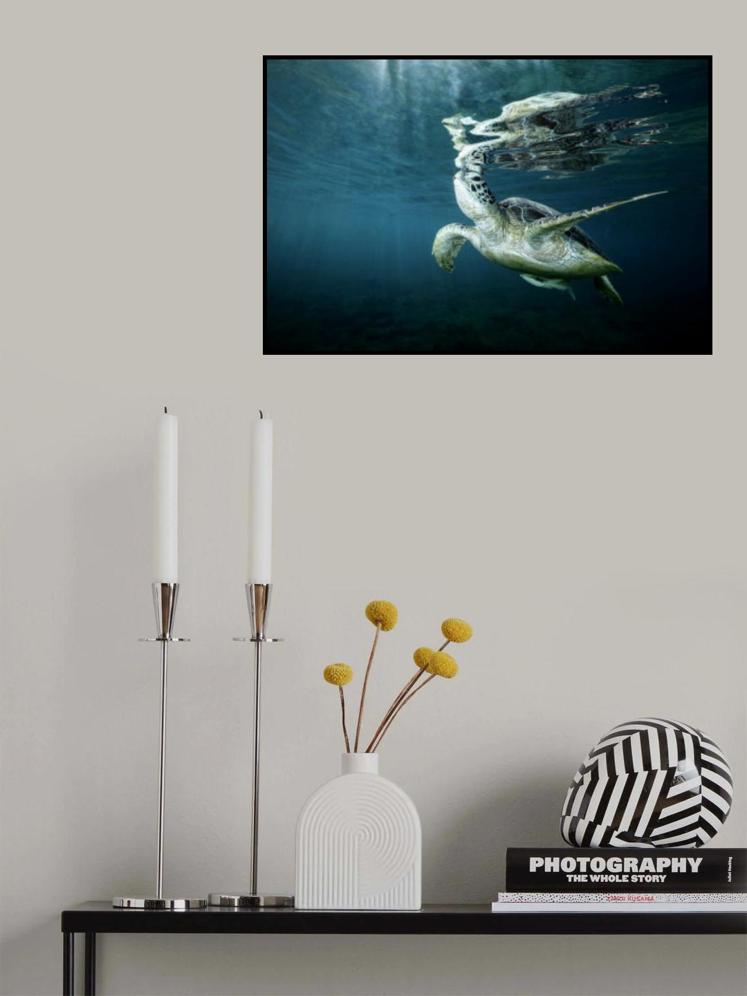 Surface Poster och Canvastavla