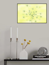 Queen Anne's Lace Poster och Canvastavla