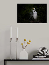 Combing Poster och Canvastavla