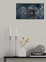 Trio Poster och Canvastavla