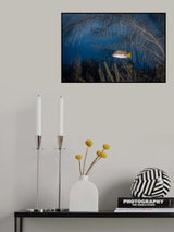 Monodrama Poster och Canvastavla
