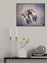 Soaring in the snow Poster och Canvastavla