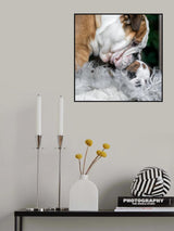 What is up, little one? Poster och Canvastavla