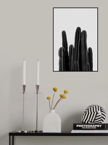 Cactus Black & White Poster och Canvastavla