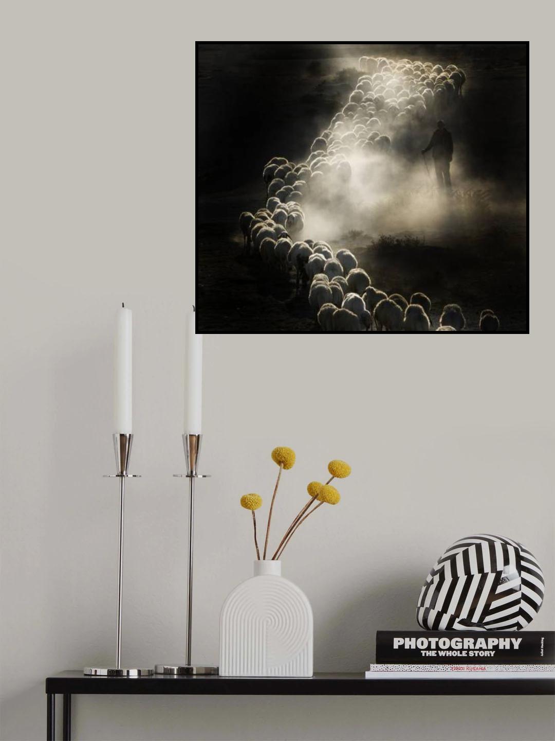 Herd Poster och Canvastavla