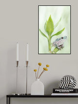 White's Tree Frog on a Lucky Bamboo Poster och Canvastavla