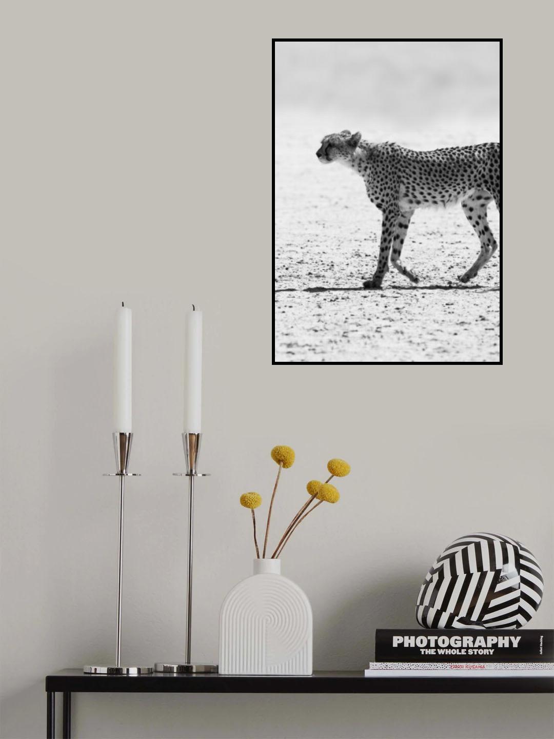 Cheetha Poster och Canvastavla