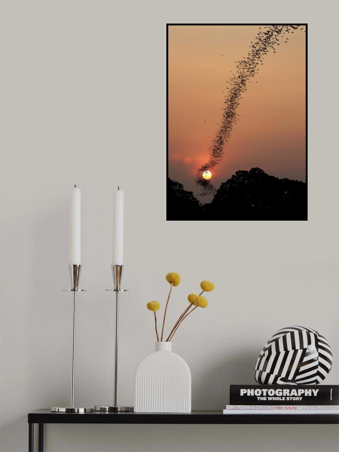 Bat swarm at sunset Poster och Canvastavla