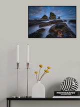 Starfish Poster och Canvastavla