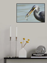 Fishing Poster och Canvastavla