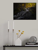 The Wizard of Oz Poster och Canvastavla