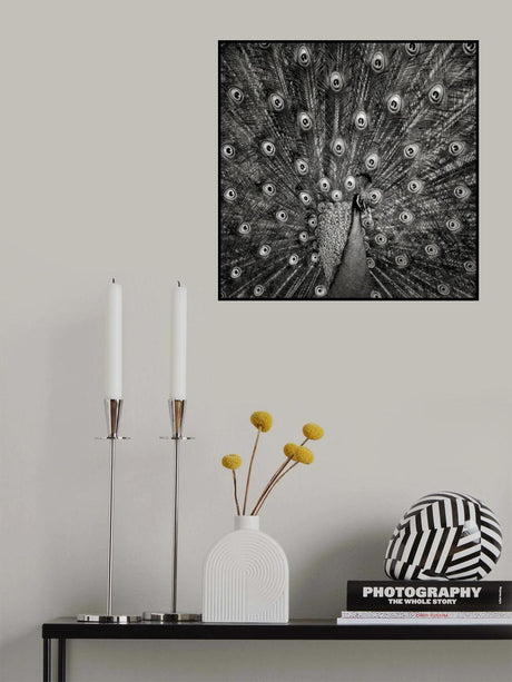 Peacock #6 Poster och Canvastavla