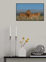 Royal Couple Poster och Canvastavla