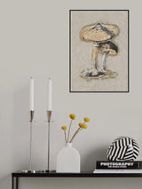 Hand Drawn Parasol Mushroom Brown Poster och Canvastavla