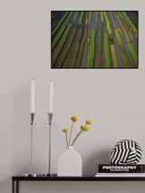 Traditional floating vegetable garden Poster och Canvastavla