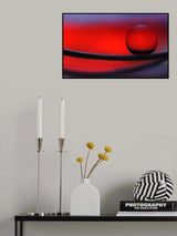 tightrope walker Poster och Canvastavla